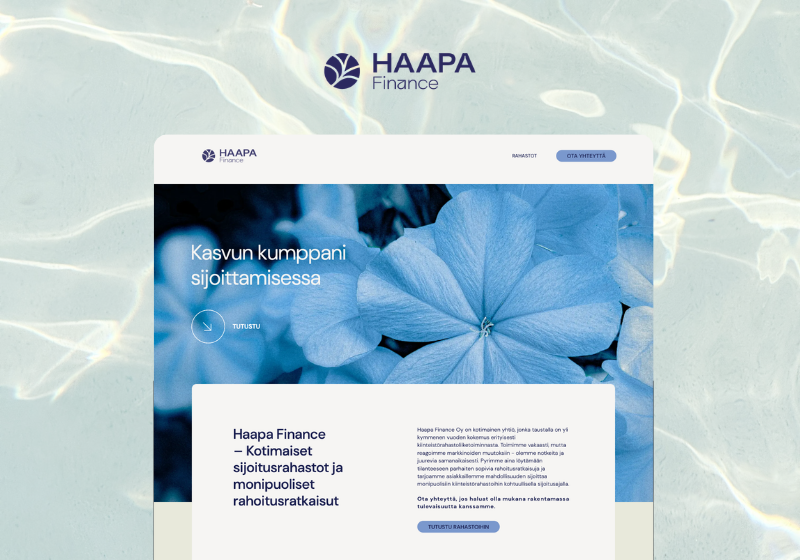 Haapa Finance verkkosivusto